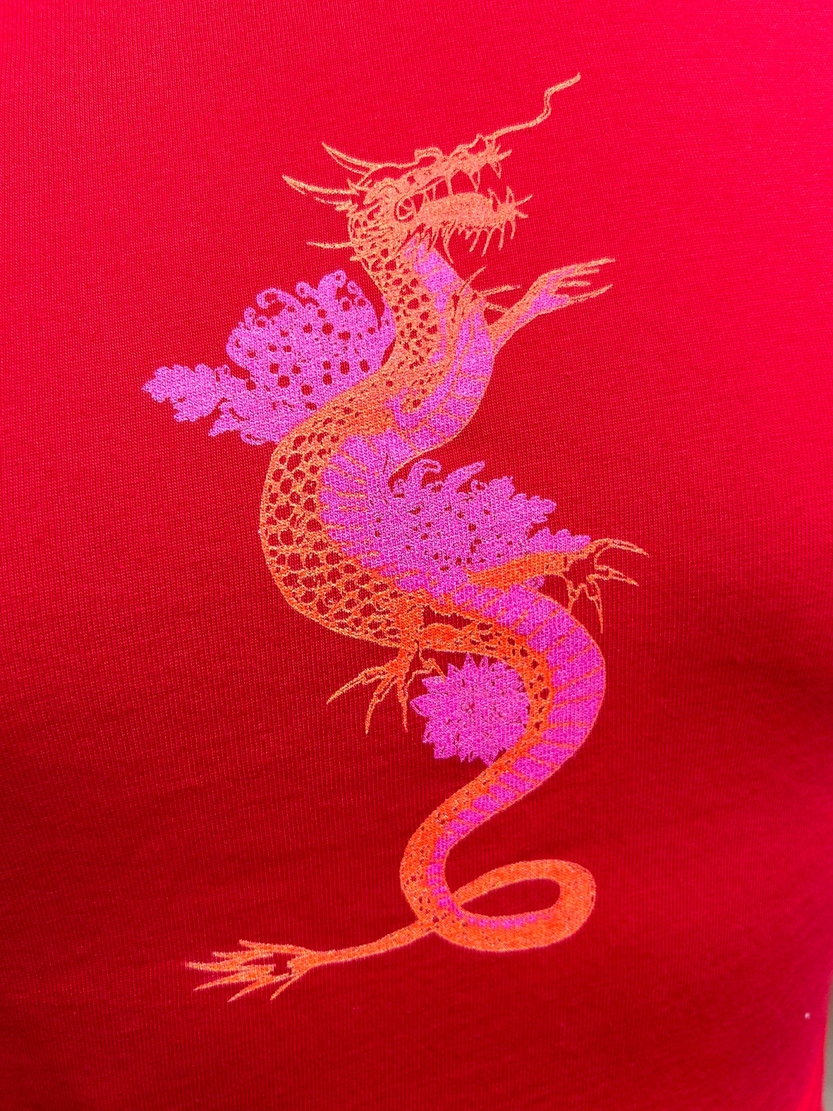 TSHIRT WITH DRAGON DESIGN